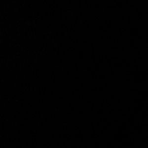 Meet your Posher, Isaiah